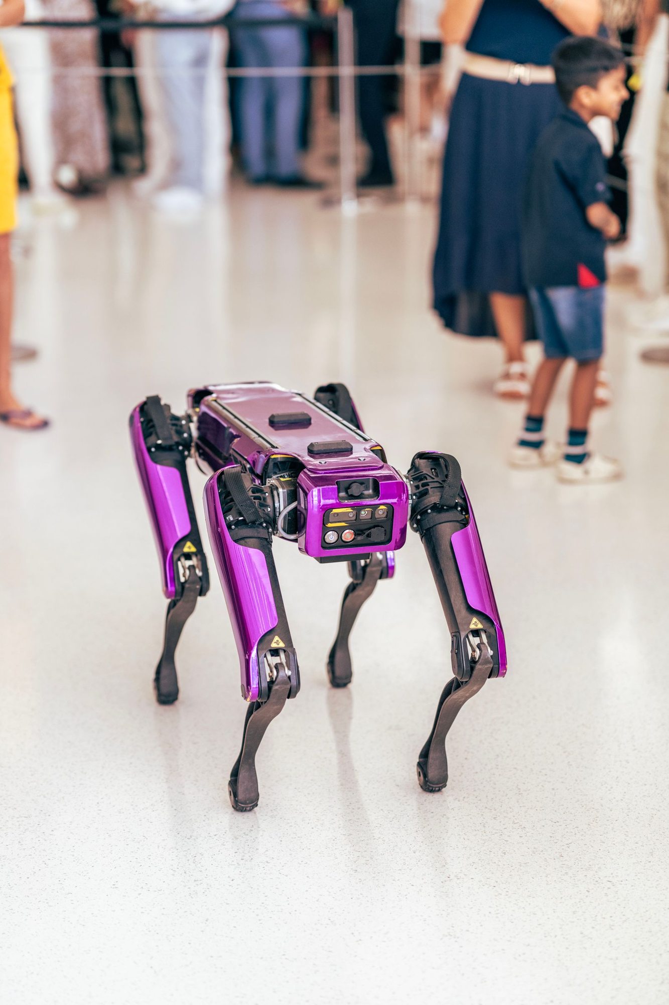 Vierbeiniger Roboter bei einer Vorführung vor Besuchern
