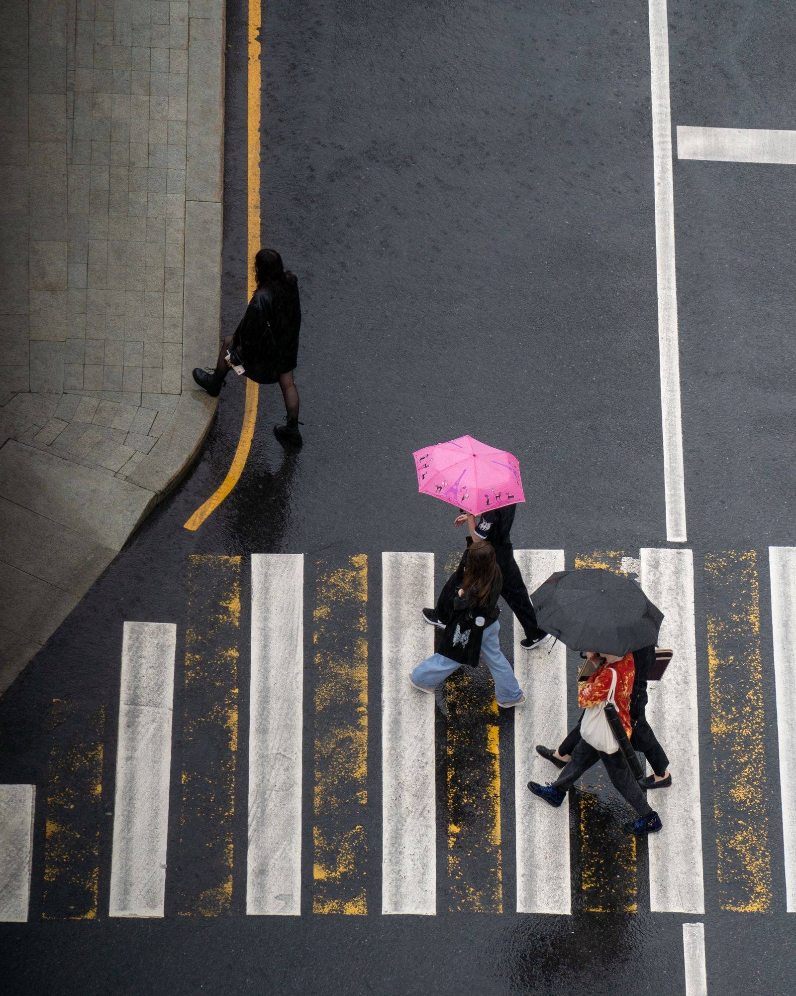 Pedestrians with umbrellas at a wet crossing